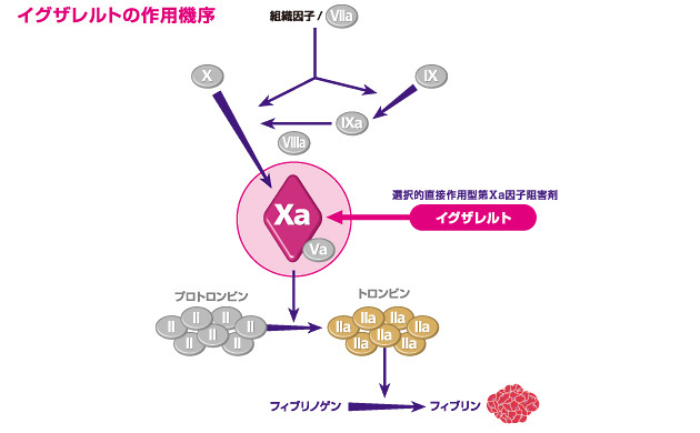ribaroxaban